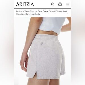 TNA Extra Fleece Perfect 2" Sweatshort in Heather Chrome (SOLD OUT ONLINE)